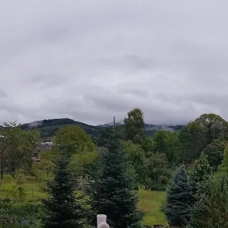 Lejlighed Haus Hornisgrindeblick *